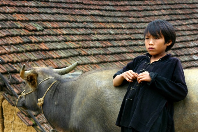 Hmong Boy