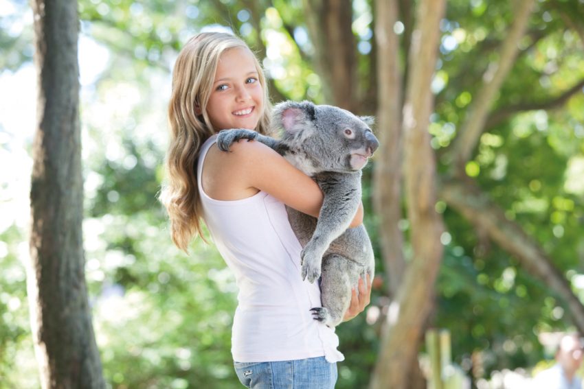 Palm 106316 Top 10 Things To Do In Cairns