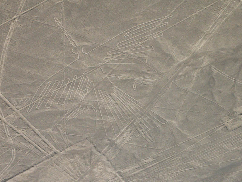 The Nazca Condor