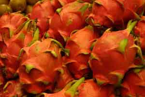 Dragon Fruit
