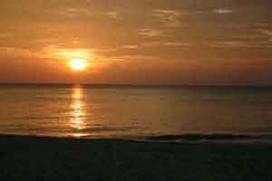 The Beach