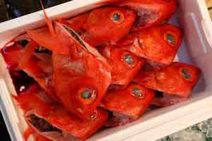 Fish Market