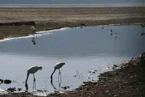 Lake Nakuru National Park