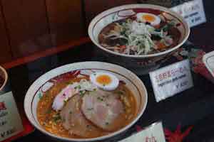 Japanese Plastic Food