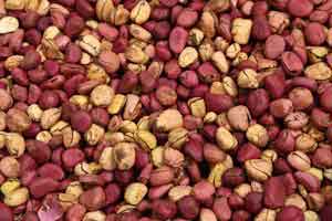 Kola Nuts