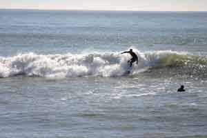 Surfer