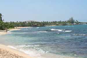 Tropical Beach