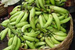 Bananas