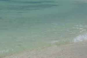Shore