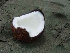 Cracked Coconut