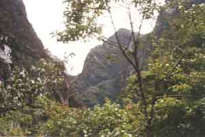 Incan Trail
