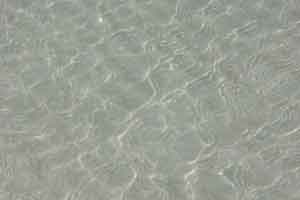 Clear Water at the Beach