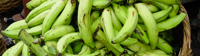 Bananas at the Market