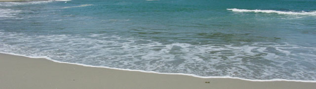 The Beach
