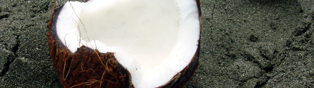 Coconut
