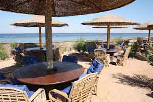 Beachfront Property