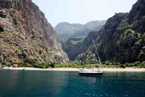 Blue Cruise