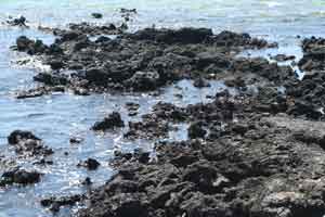 Rocky Coastline
