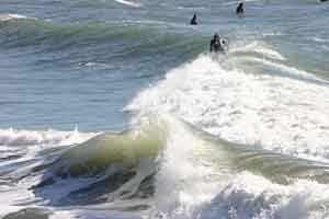 Surfers