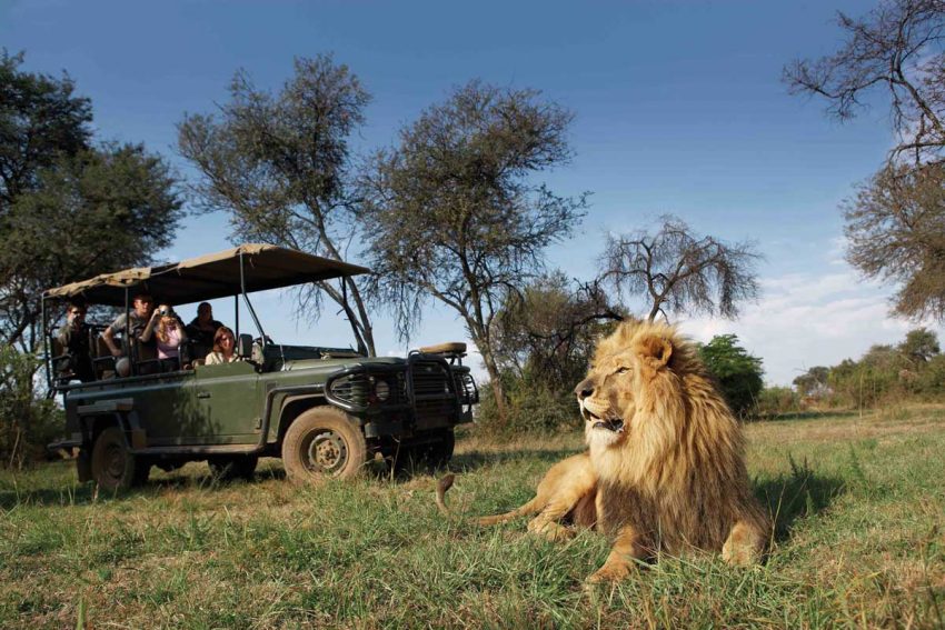 affordable south african safari