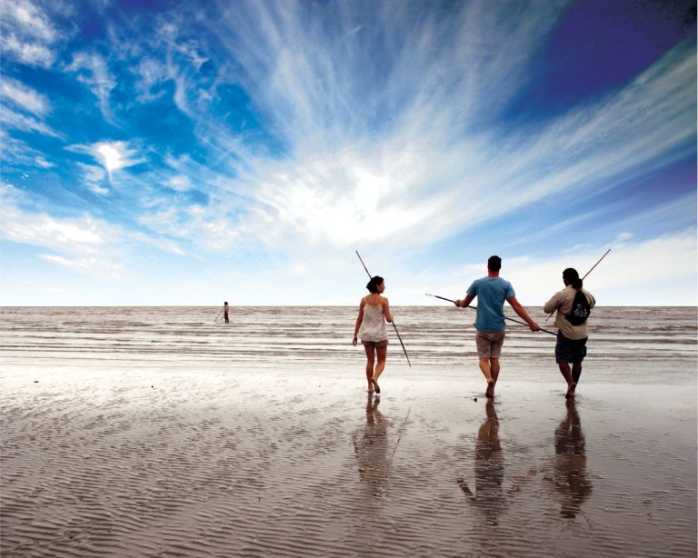 Read more about the article Top 10 Things To Do In Cairns