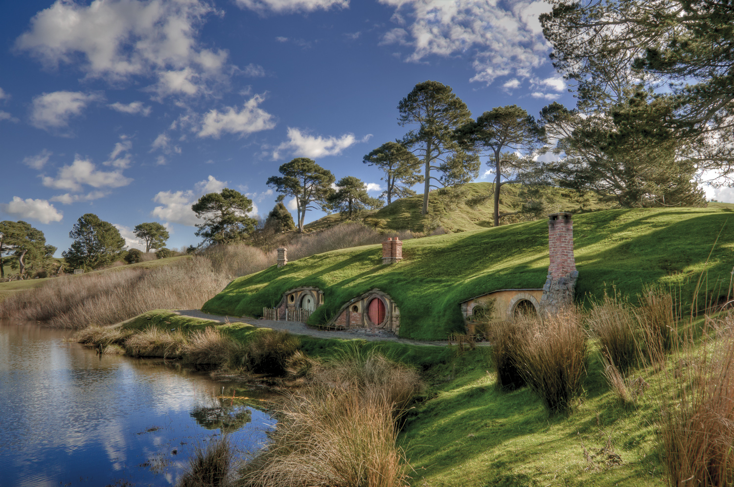 You are currently viewing A Road Trip on the North Island of New Zealand
