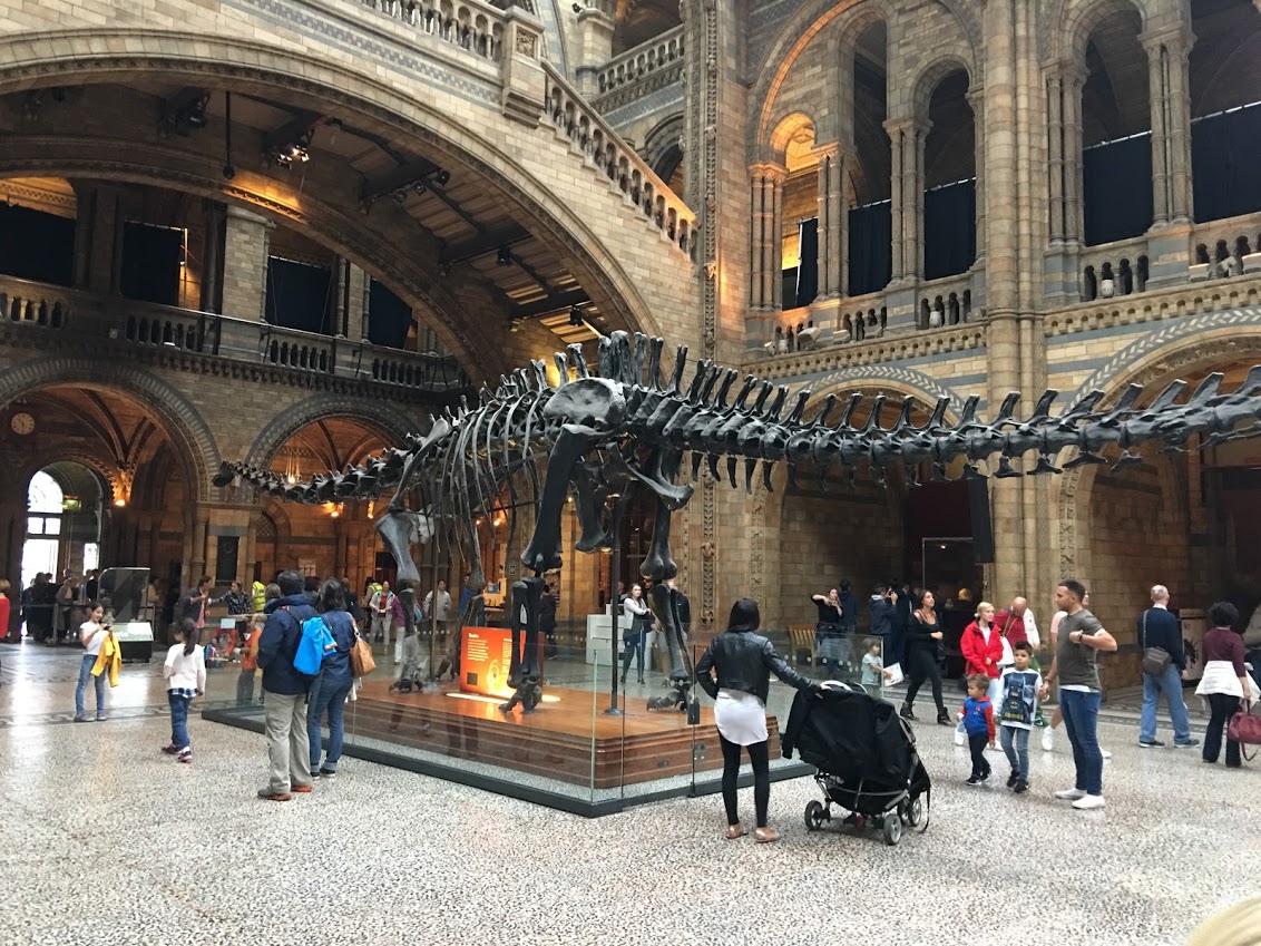 London Natural History Museum