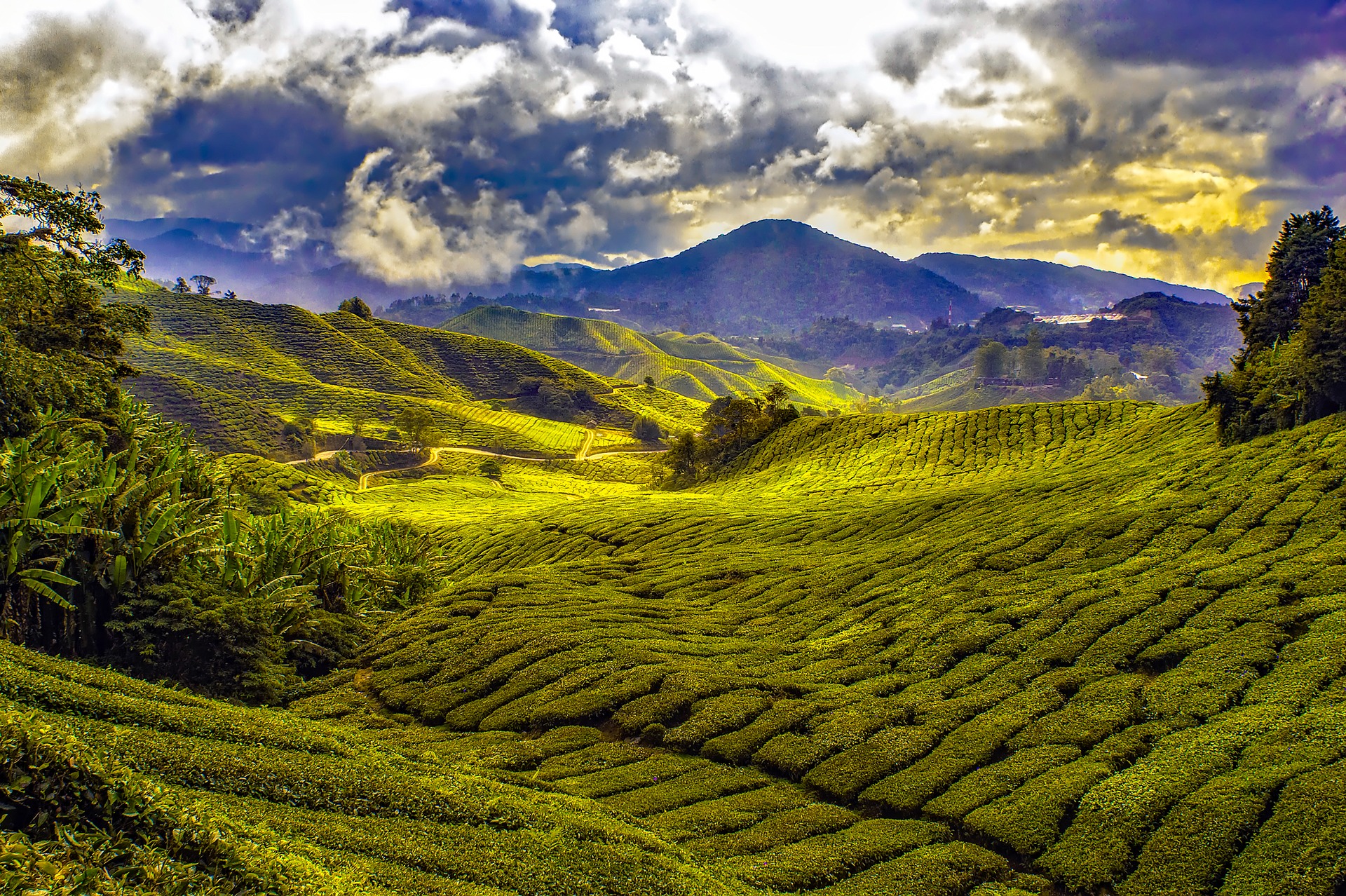 You are currently viewing Travelling Malaysia on a Budget: What the Experts Say