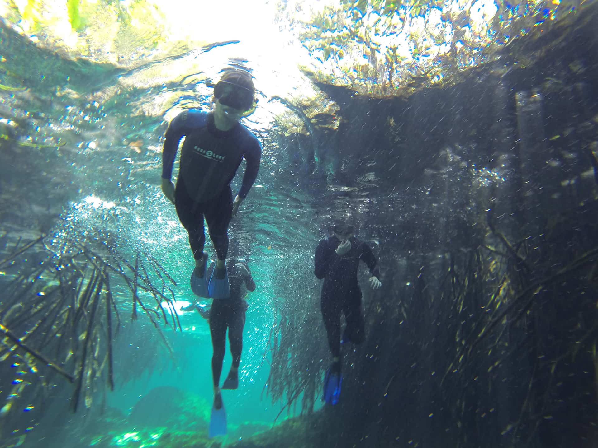 casa cenote snorkeling 1 Cenotes - Mexico's Hidden Wonders