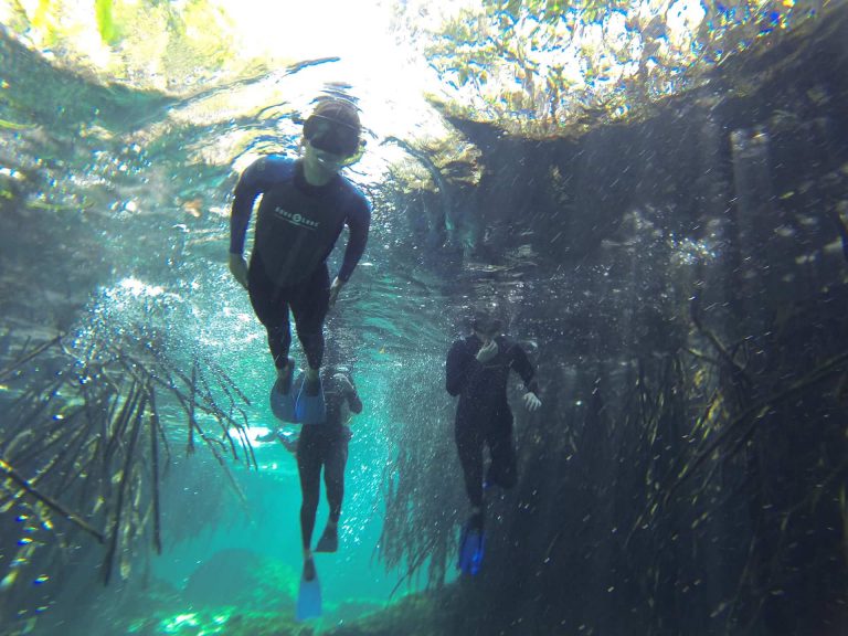 Read more about the article Cenotes – Mexico’s Hidden Wonders