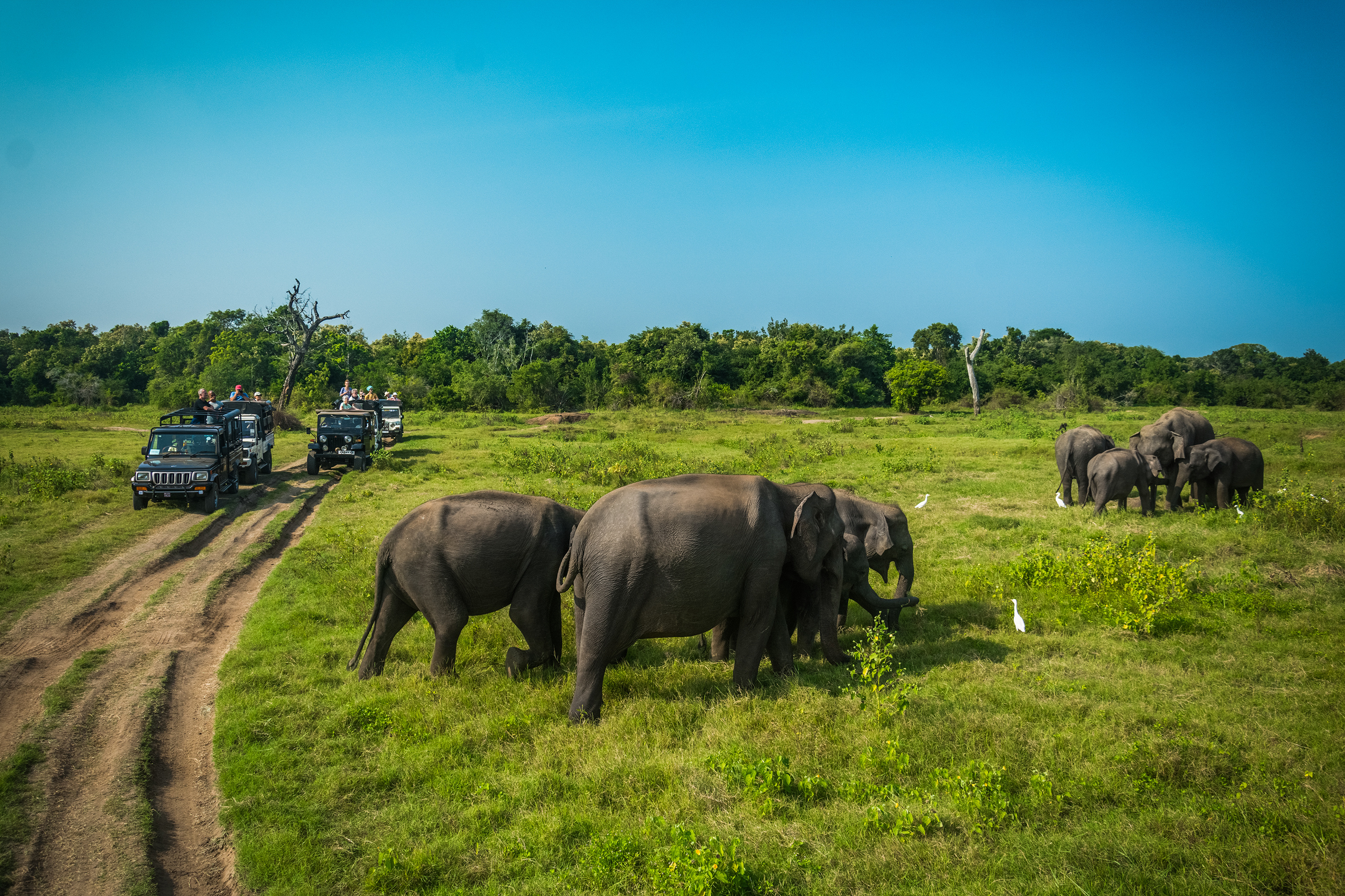 You are currently viewing Planning Your Dream Trip to Sri Lanka