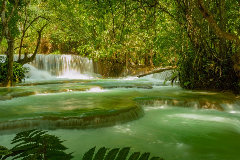 Kuang Si Falls, Laos