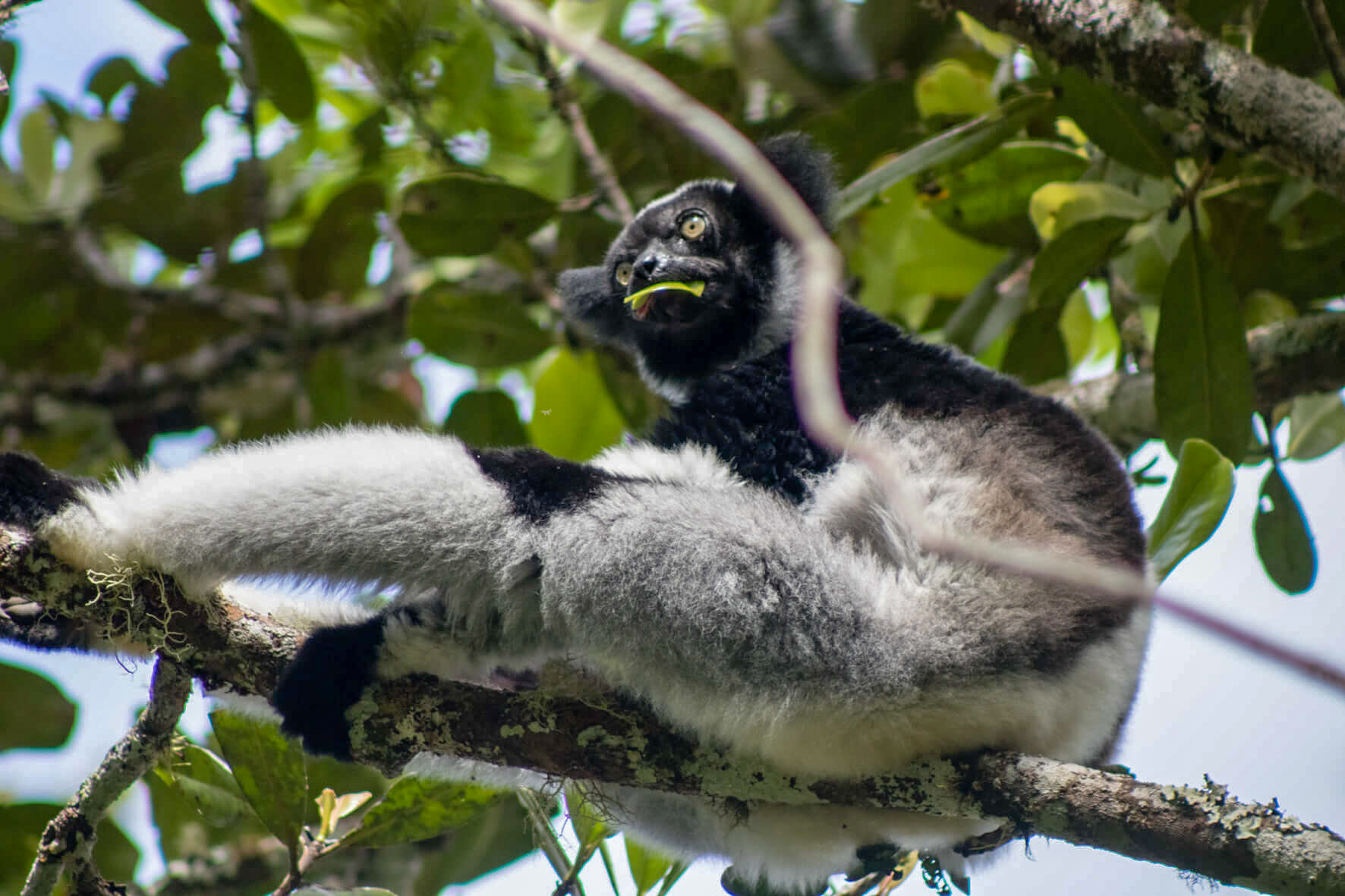 Top Safari Tips For Your Travels In Africa The Budget Your Trip Blog