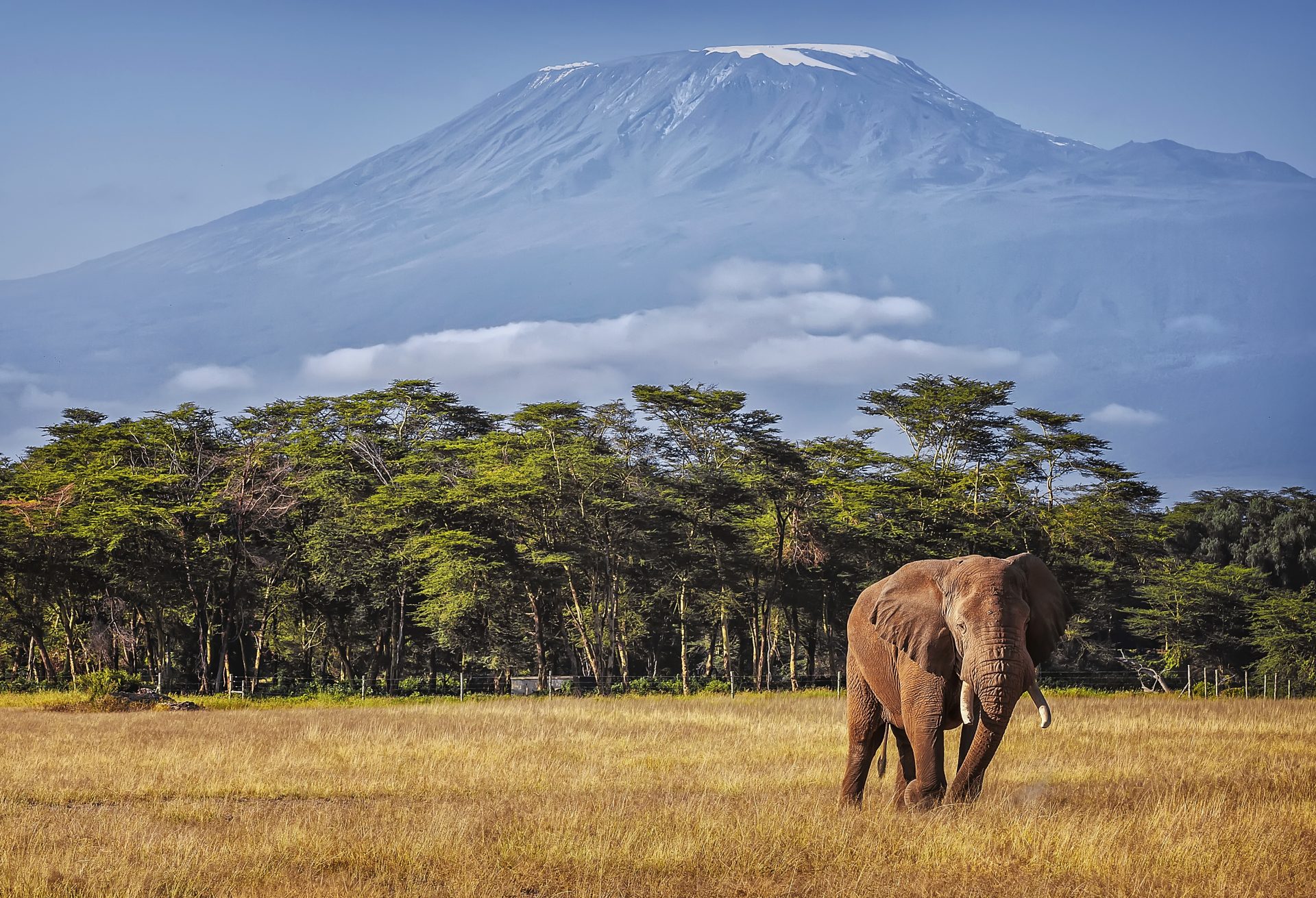 Kilimanjaro Preparation Guide: 10 Must-Haves for a Comfortable Hiking Trip