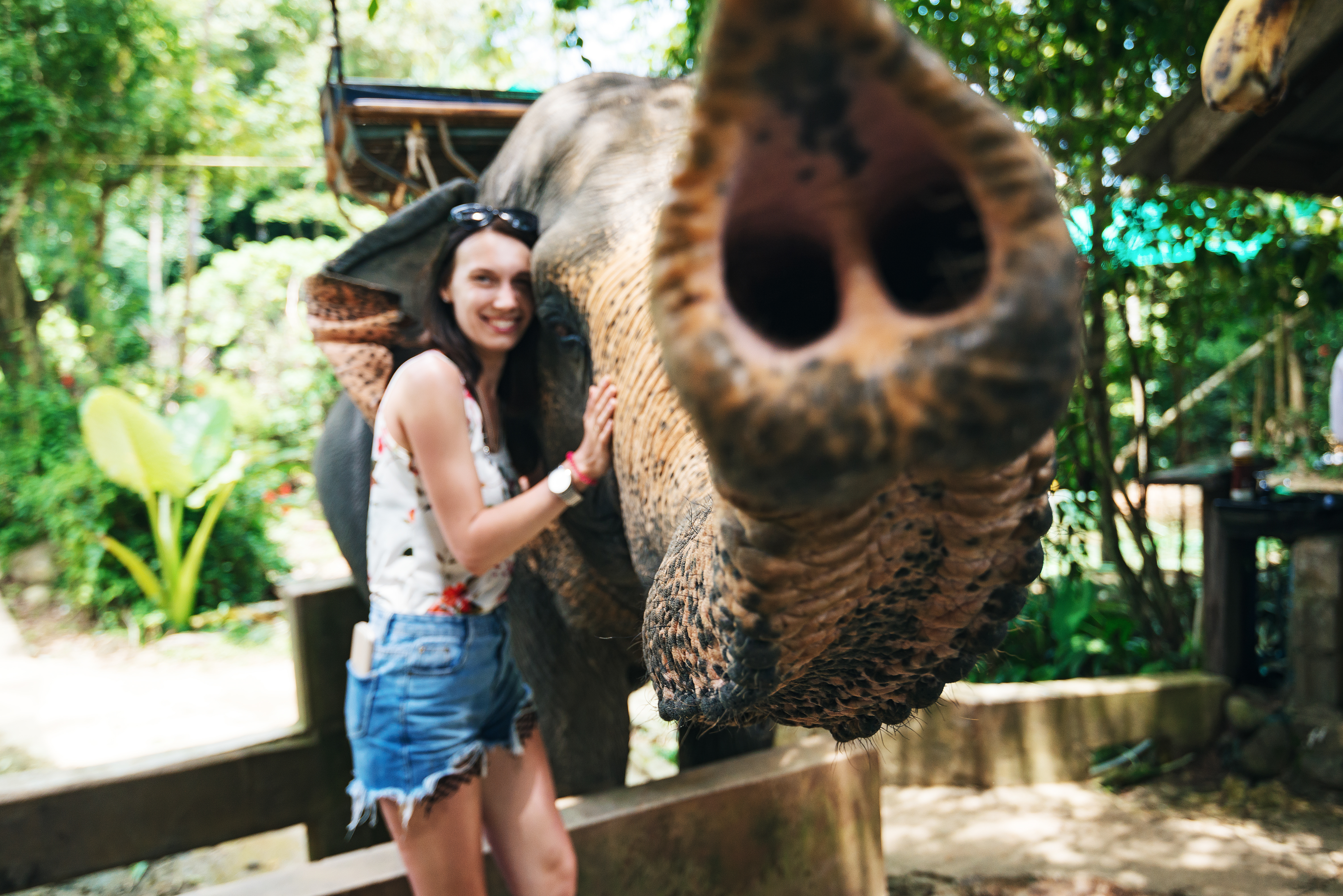You are currently viewing How to Enjoy Your Time in Phuket, Thailand