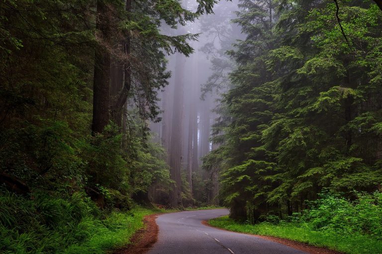 Read more about the article California Coasting: 3 Epic Sunshine State Road Trips