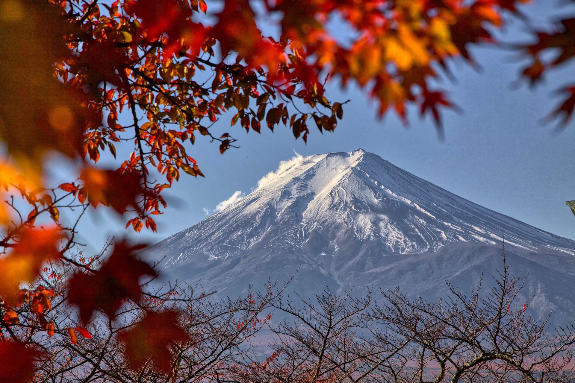 Mt. Fuji Road Trip Guide