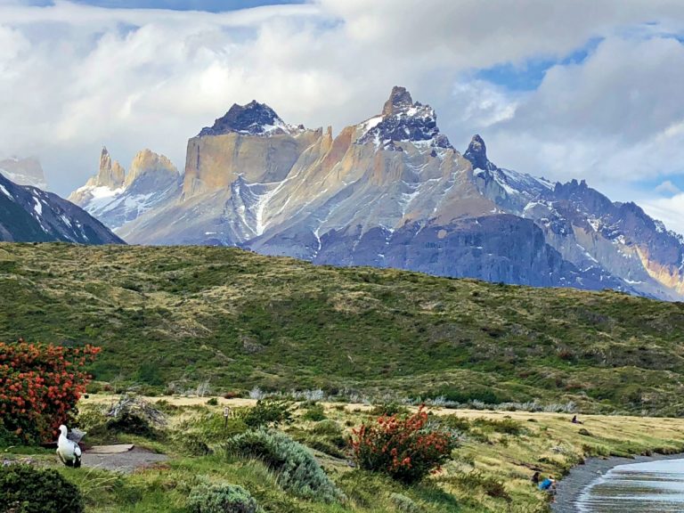 Read more about the article Things to do in Torres del Paine National Park