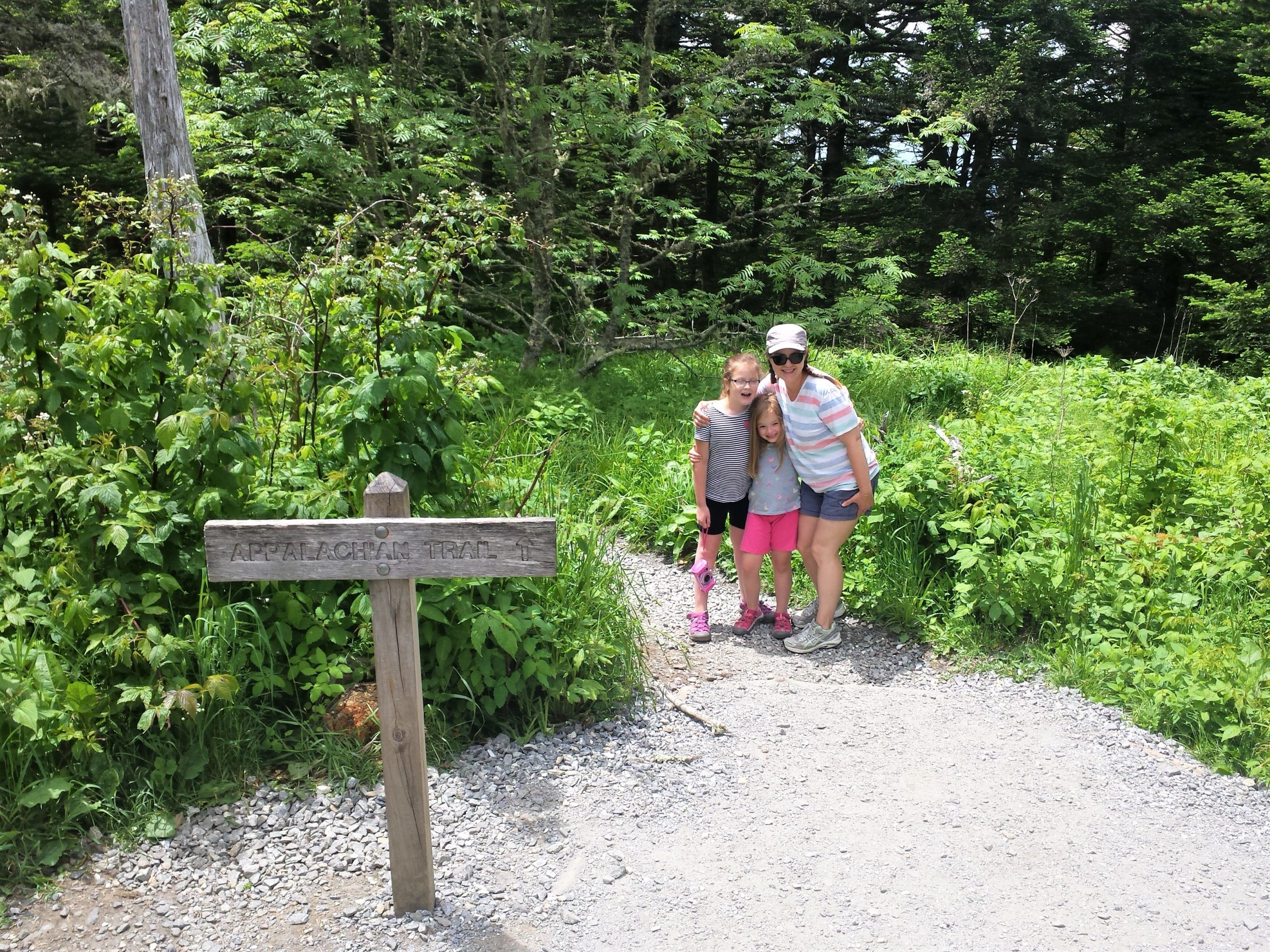 Kristi Valentini and her two kids set foot on the Appalachian Trail scaled 10 Things to Do With Kids in the Great Smoky Mountains