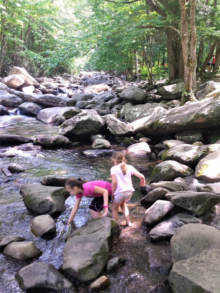 10 Things to Do With Kids in the Great Smoky Mountains | The Budget ...