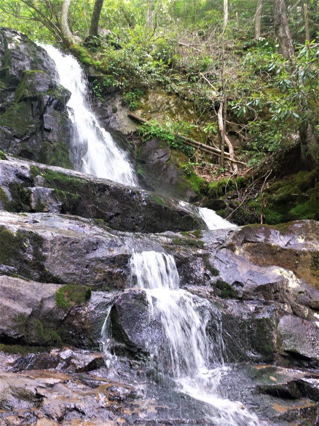 Laurel Falls by Kristi Valentini 10 Things to Do With Kids in the Great Smoky Mountains