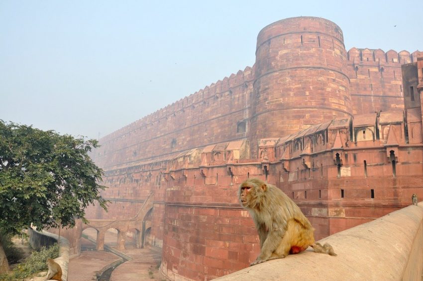 Read more about the article Visiting Agra Fort