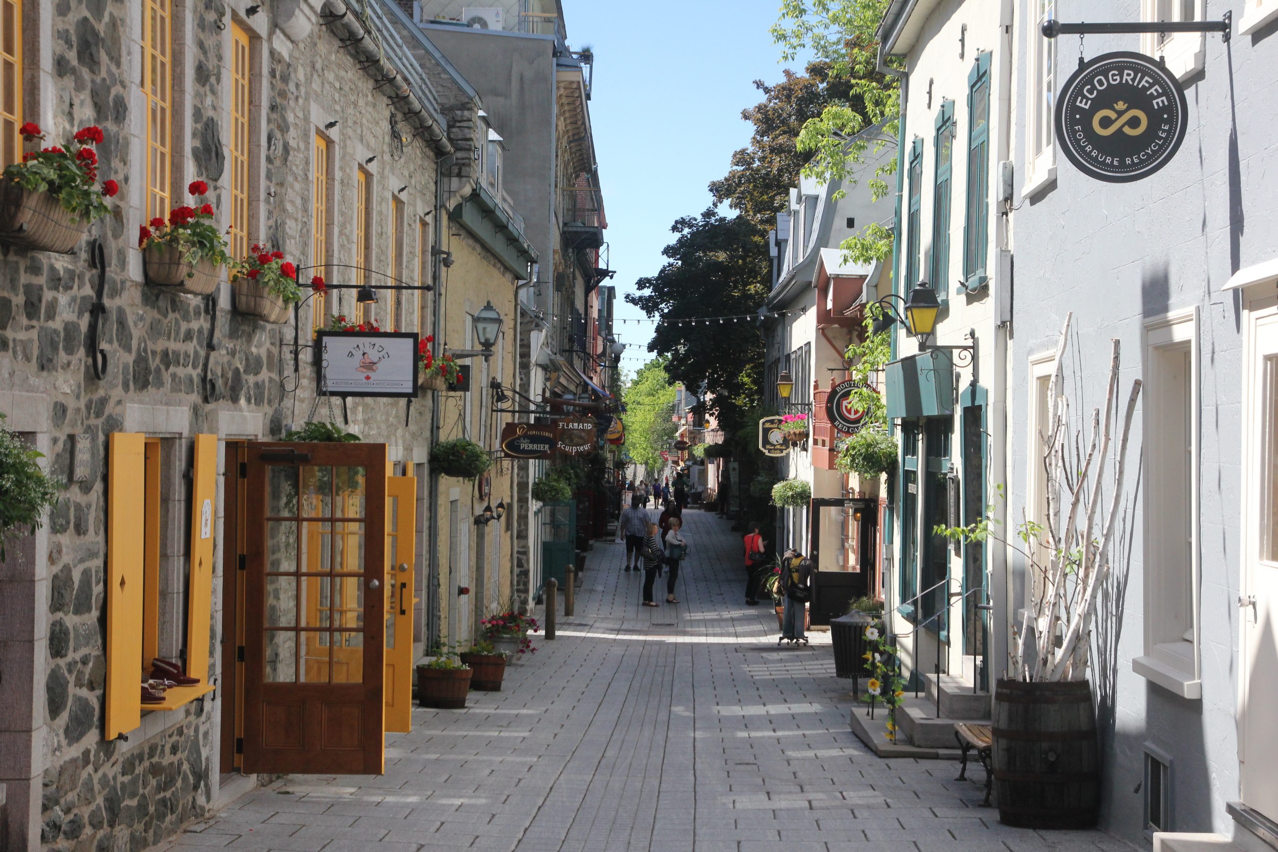You are currently viewing 5 Tips for Traveling to Canada