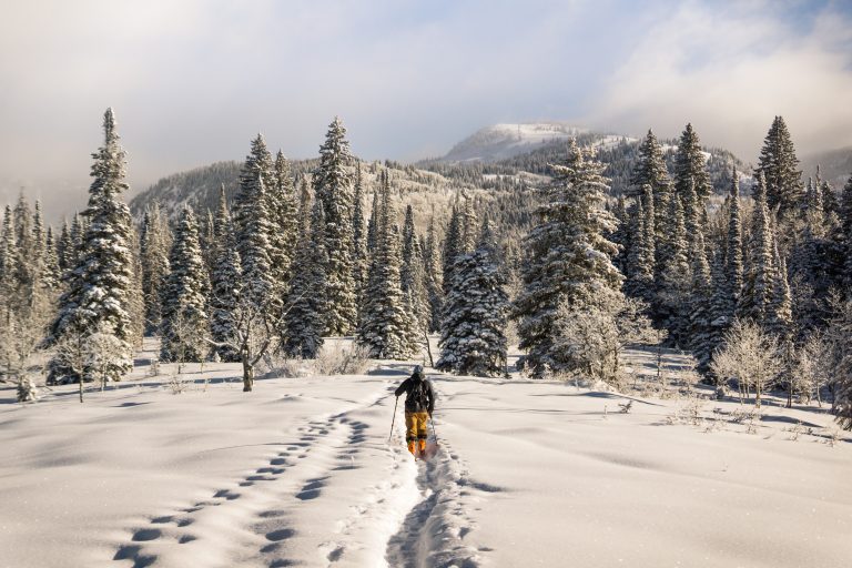 Read more about the article Family-Friendly Airbnb Cabins in Steamboat Springs