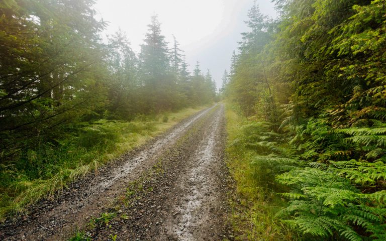 Read more about the article Cabins in Snoqualmie Pass, Washington