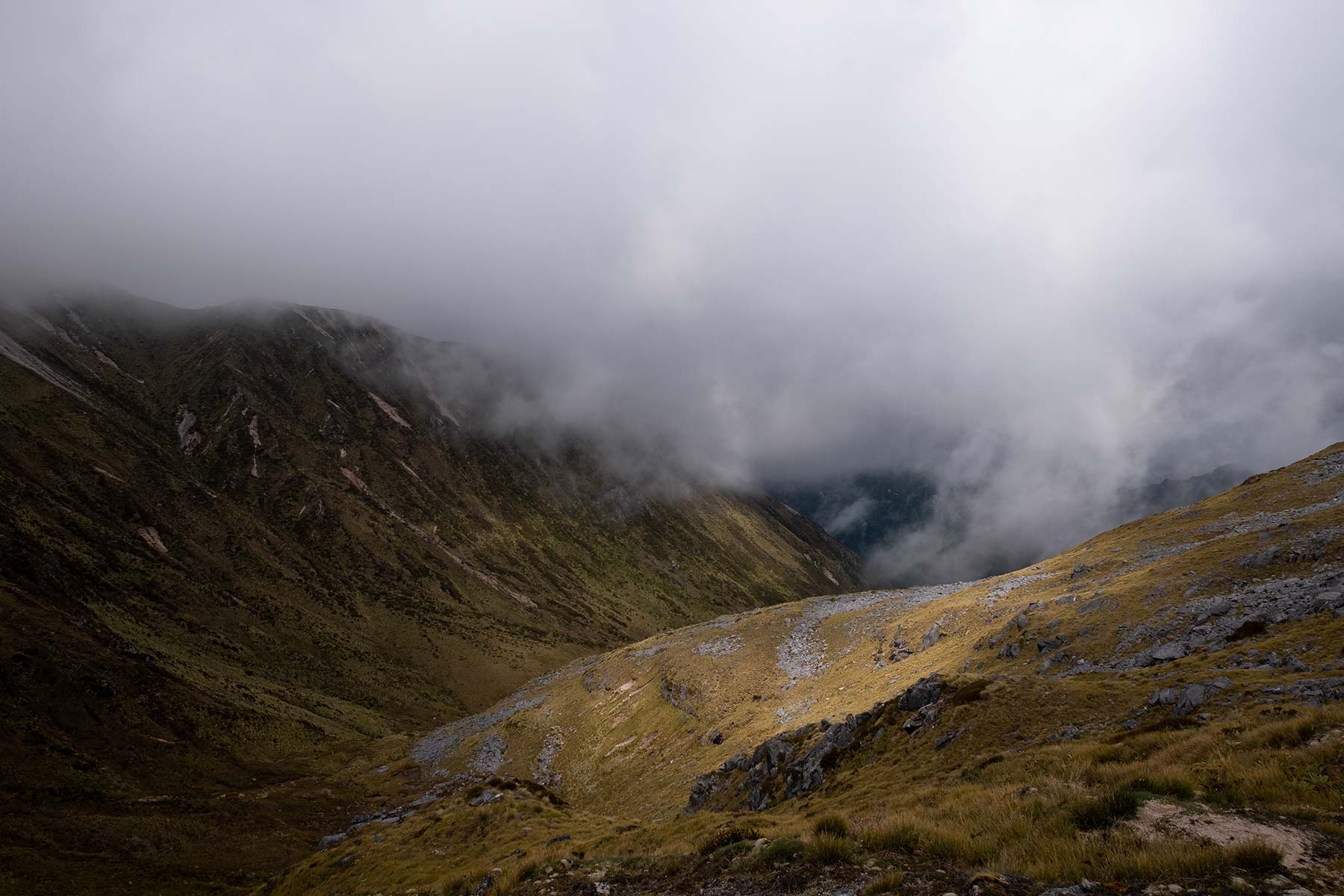 You are currently viewing A Complete Guide to New Zealand’s Great Walks