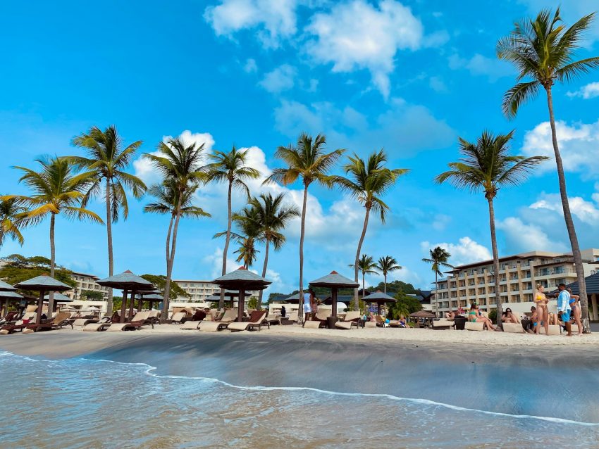 a beach with palm trees and people sitting under umbrellas