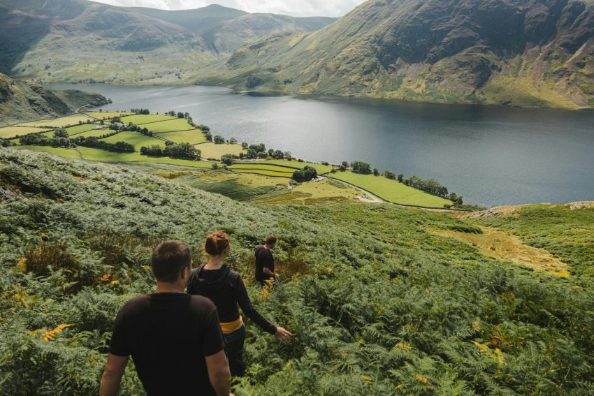 From above back view of unrecognizable travelers strolling along lush green bushes towards green field near calm lake during trip in nature Lake District National Park UK