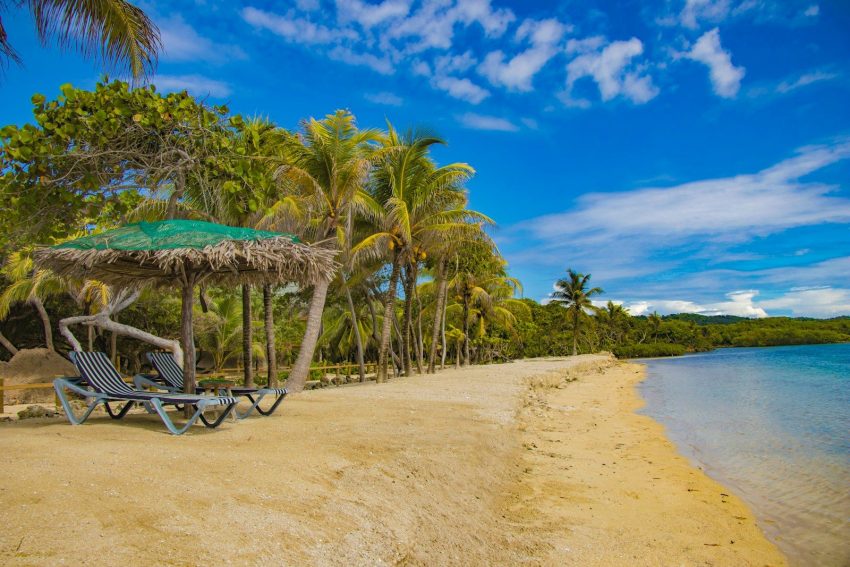 brown wooden beach lounge chair near palm trees under blue sky during daytime, Roatan, Honduras