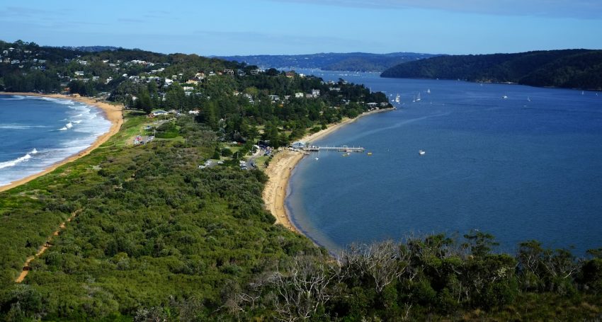 aerial view of green trees and blue sea during daytime